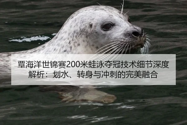 覃海洋世锦赛200米蛙泳夺冠技术细节深度解析：划水、转身与冲刺的完美融合