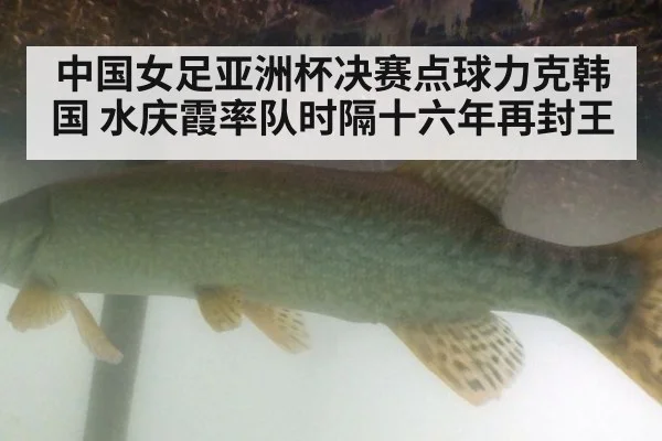 中国女足亚洲杯决赛点球力克韩国 水庆霞率队时隔十六年再封王