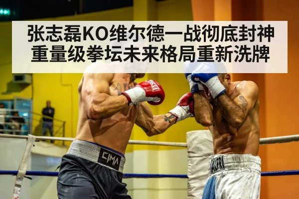 张志磊KO维尔德一战彻底封神 重量级拳坛未来格局重新洗牌